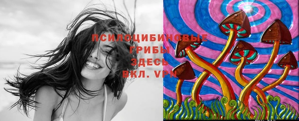 спайс Алексеевка