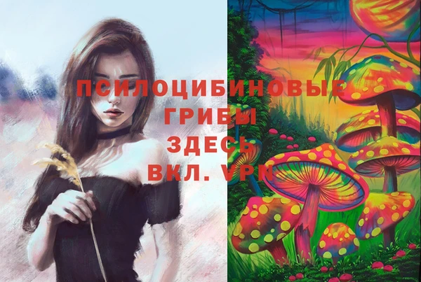 Альфа ПВП Алексин