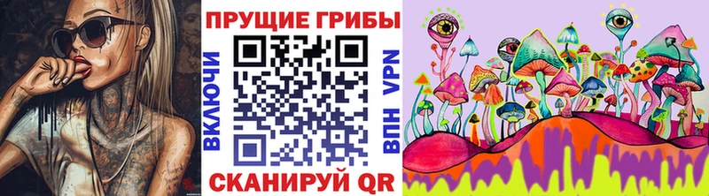 Купить где  Высоковск  Псилоцибиновые грибы мухоморы 
